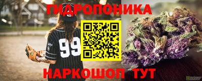 прущие крисы Малгобек