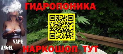 прущие крисы Малгобек