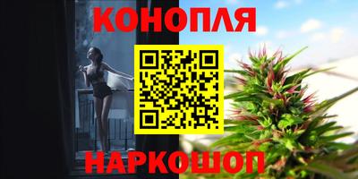 прущие крисы Малгобек