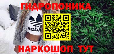 прущие крисы Малгобек
