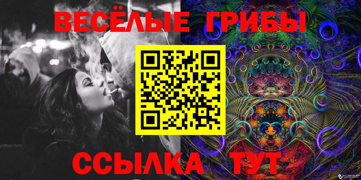 Псилоцибиновые грибы GOLDEN TEACHER Горячий Ключ